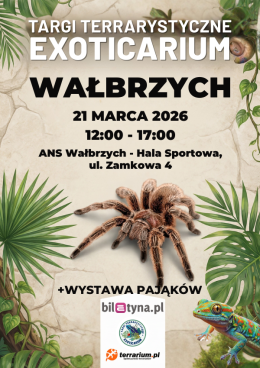 Wałbrzych Wydarzenie Targi Wałbrzych - Targi Terrarystyczne Exoticarium + Wystawa Pająków
